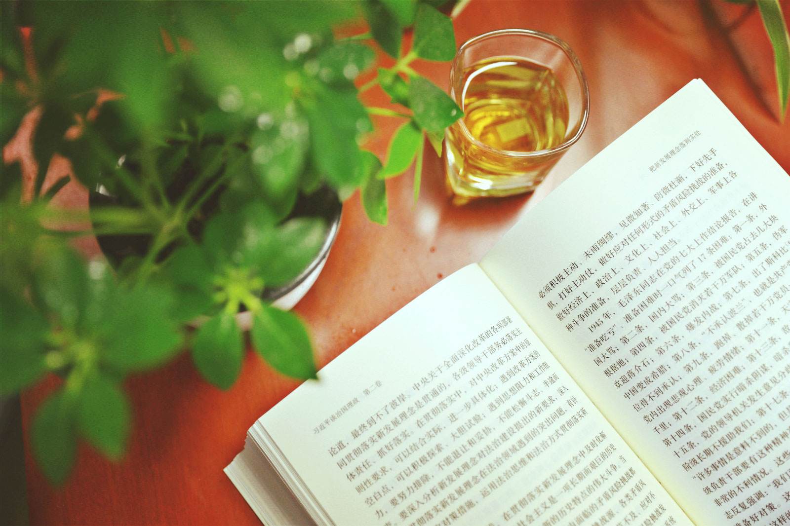 1567762278981552.jpg 養(yǎng)成閱讀習(xí)慣.jpg